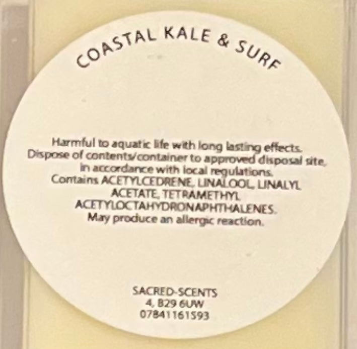Coastal Kale & Surf Wax Melt Clamshell
