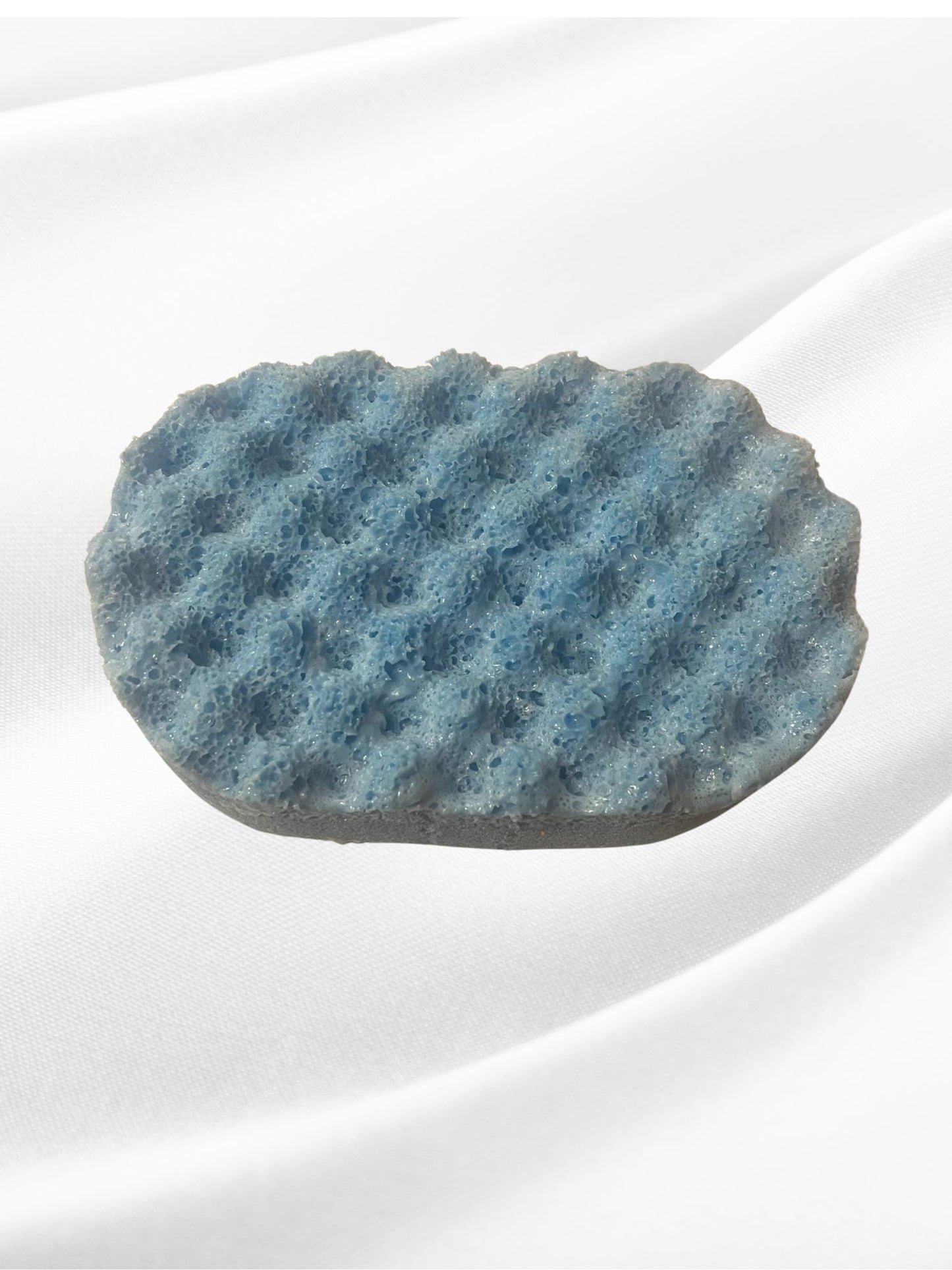 Victorious Scented Exfoliating Soap Sponge