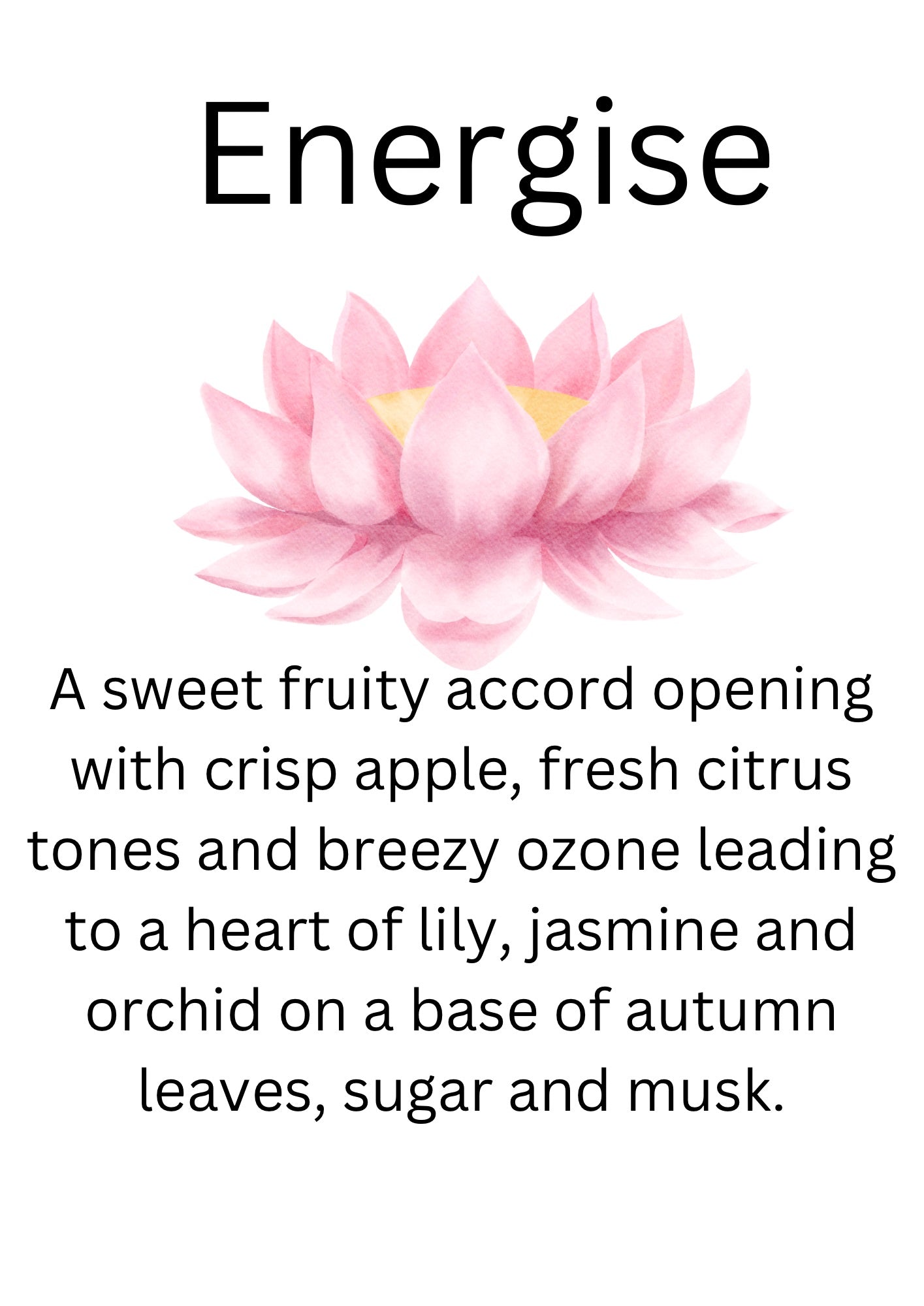 Energise Wax Melt Clamshell