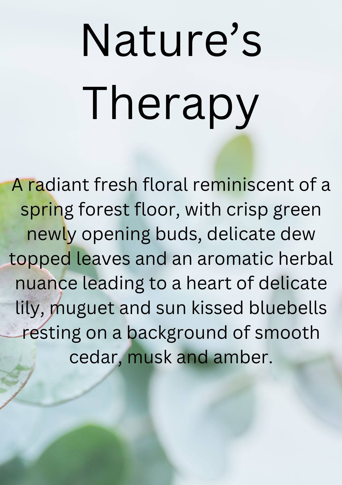 Natures Therapy Wax Melt Clamshell