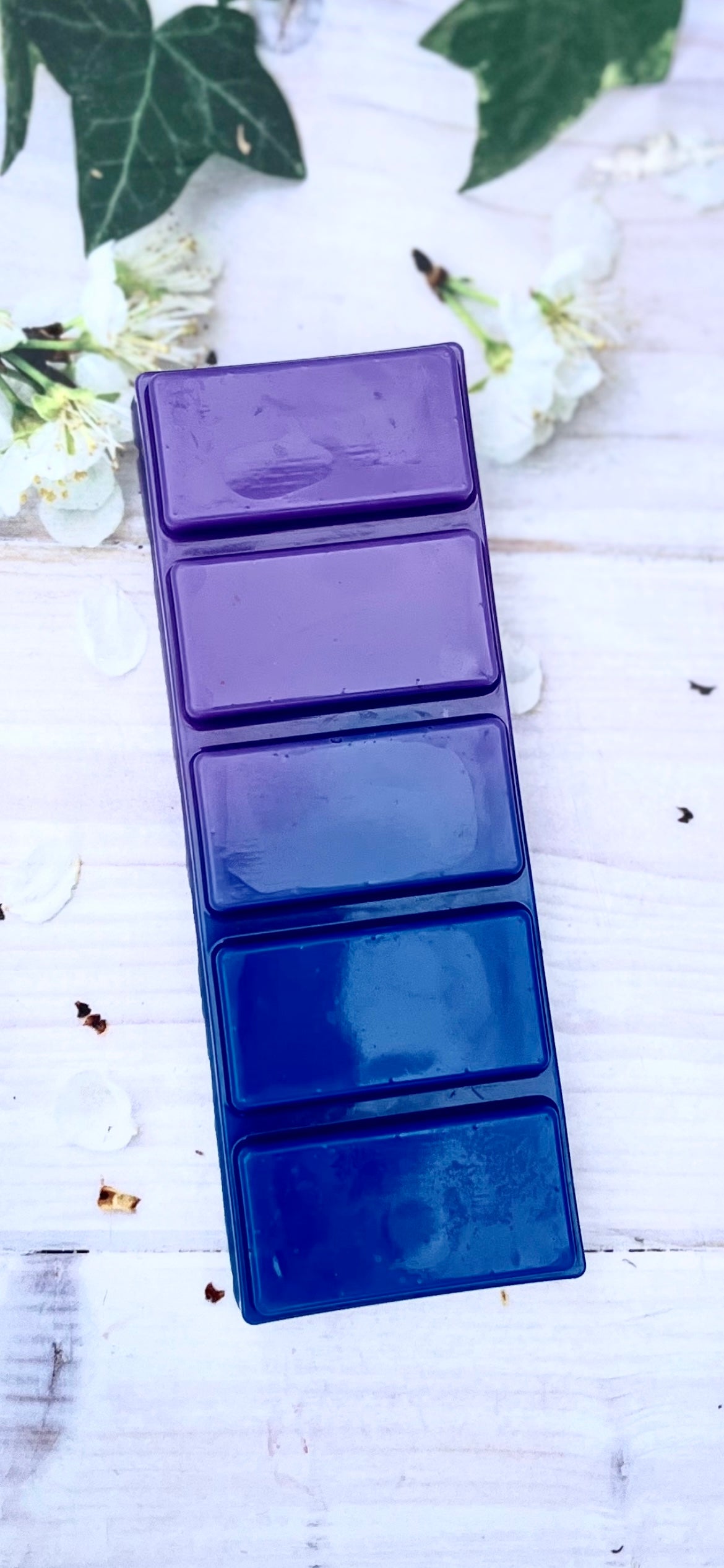 Apollo clamshell Sacredscents