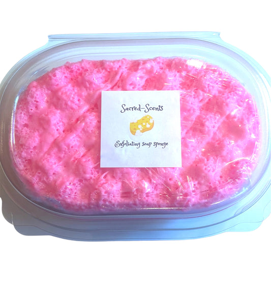 Soap Sponge Clamshell