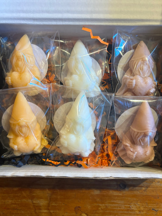 Autumn Gonk Squad collection