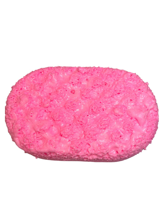 Fairy Dust Scented Exfoliating Soap Sponge