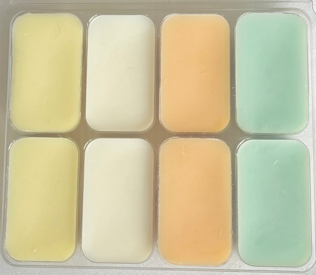 Bug Off Wax Melt Collection Set